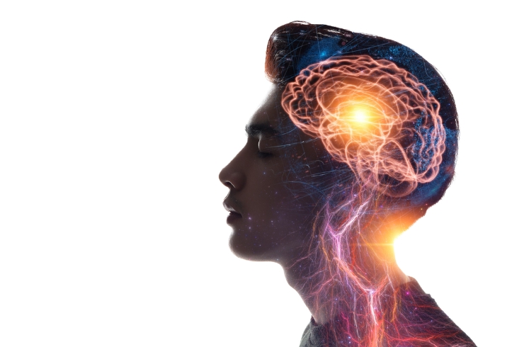 Head and Brain Disorders-----16